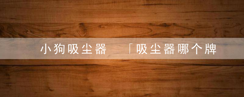 小狗吸尘器 「吸尘器哪个牌子好用又便宜」